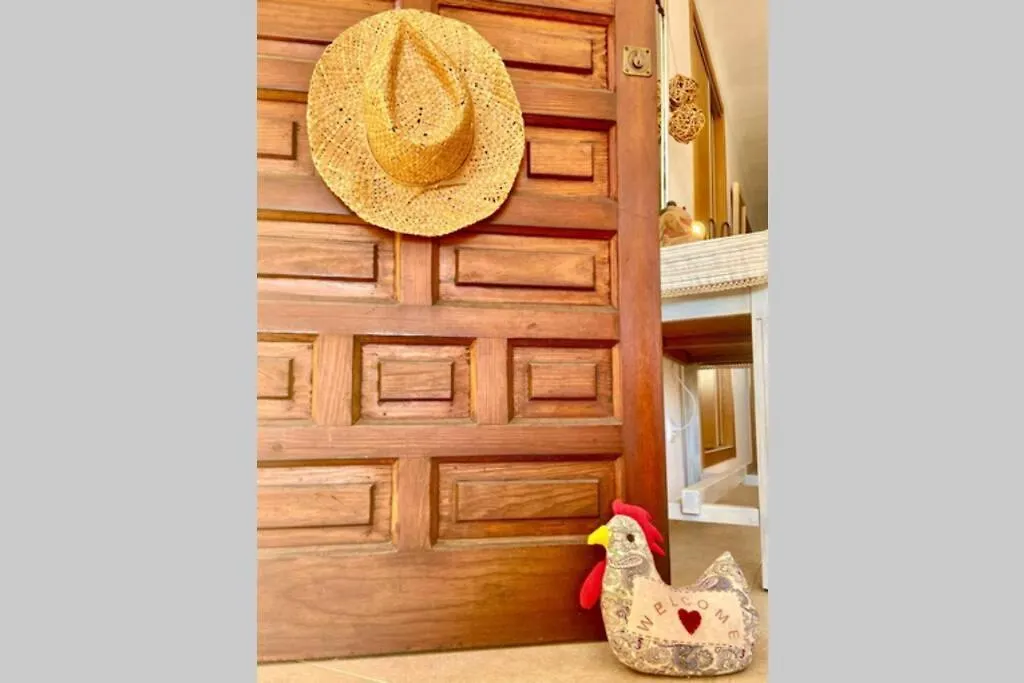 Apartment Francesca Beach With Pool In Playa De Alcudia