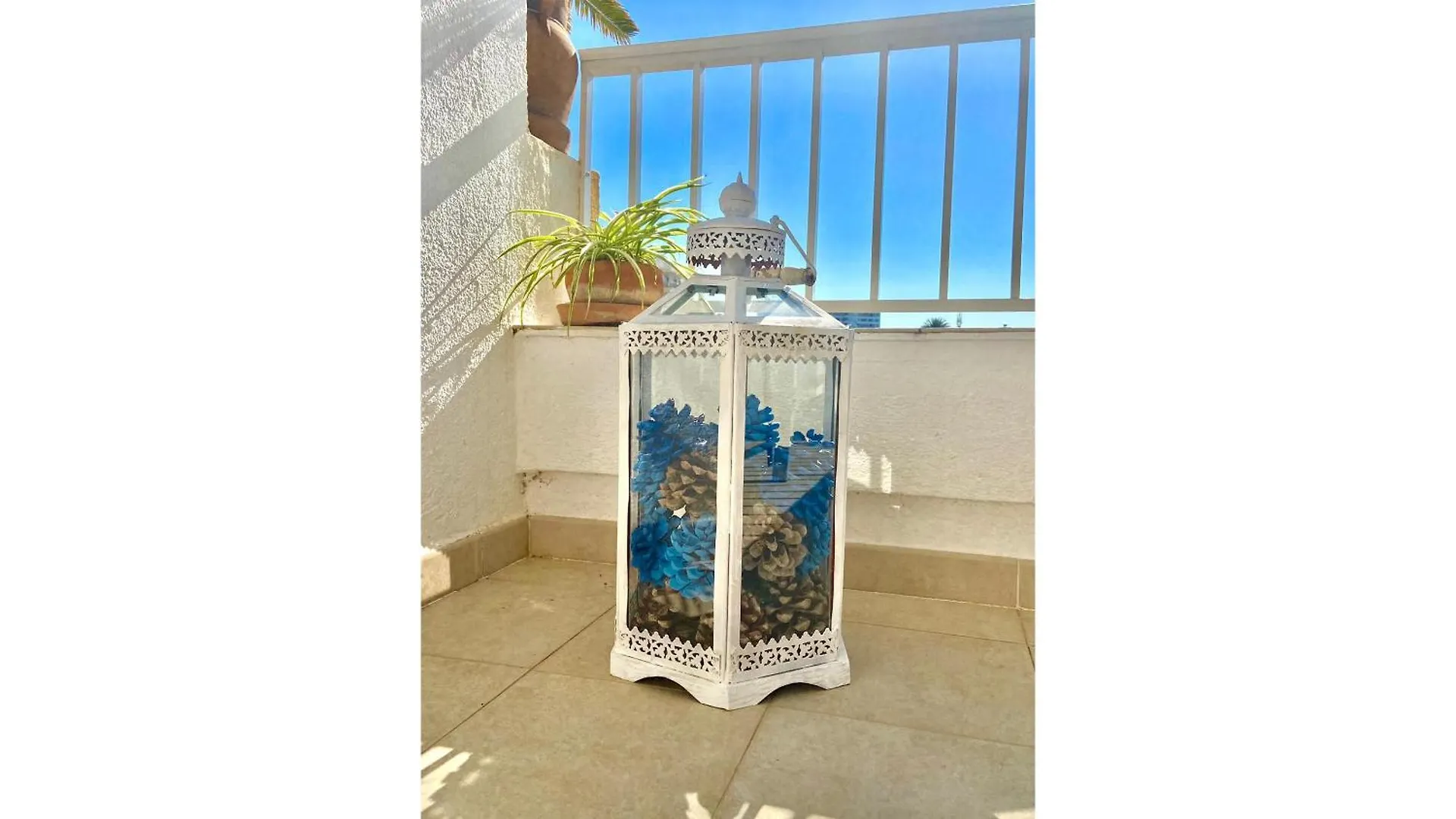 Apartment Francesca Beach With Pool In Playa De Alcudia Spanje